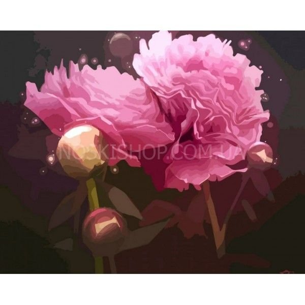 Картина за номерами 40х50 (12123) "Магічні Півонії"