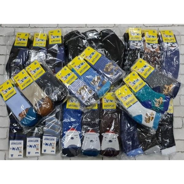 Шкарпетки Житомир "ХОМА-Master" 2006-3 дитячі махрові, розмір за довжиною стопи: 14-16 -(хлопчик-махра) -випадковий мікс без вибору!