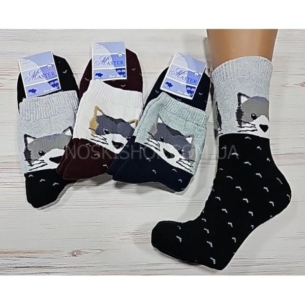 Шкарпетки "Master" 4102-2 махрові жіночі р. 23-25 -випадкове асорті -(Махра -під резинкою сіра мордочка кота +V всьому по шкарпетці) -уп. 12 шт