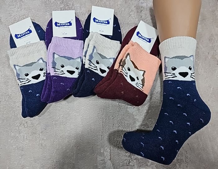 Шкарпетки "Master" 4102-2 махрові жіночі р. 23-25 -випадкове асорті -(Махра -під резинкою сіра мордочка кота +V всьому по шкарпетці) -уп. 12 шт