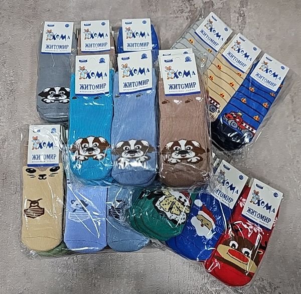 Шкарпетки Житомир "ХОМА-Master" 2006-2 дитячі махрові, розмір за довжиною стопи: 12-14 -(хлопчик-махра) -випадковий мікс без вибору!