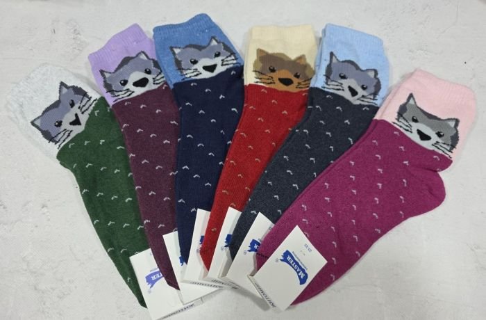 Шкарпетки "Master" 4102-2 махрові жіночі р. 23-25 -випадкове асорті -(Махра -під резинкою сіра мордочка кота +V всьому по шкарпетці) -уп. 12 шт