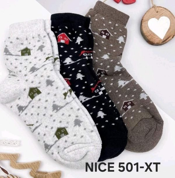 Шкарпетки "NiceSocks" 501-ХТ махрові жіночі, р. 36-40 -асорті -(Махра -хатинки + ялинки + крапки) -уп. 12 шт