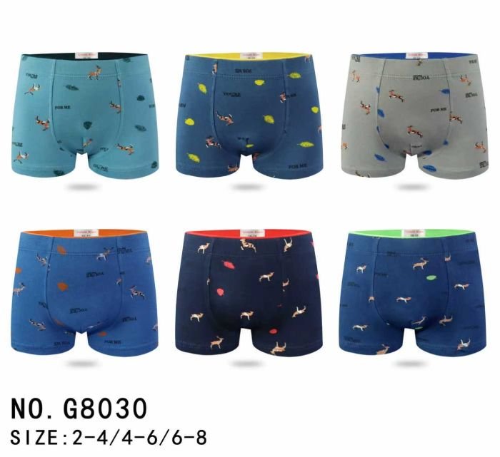 Боксери дитячі "Galvien kleain" G-8030 cotton, р. 2-4, 4-6, 6-8 -асорті -уп. 12 шт